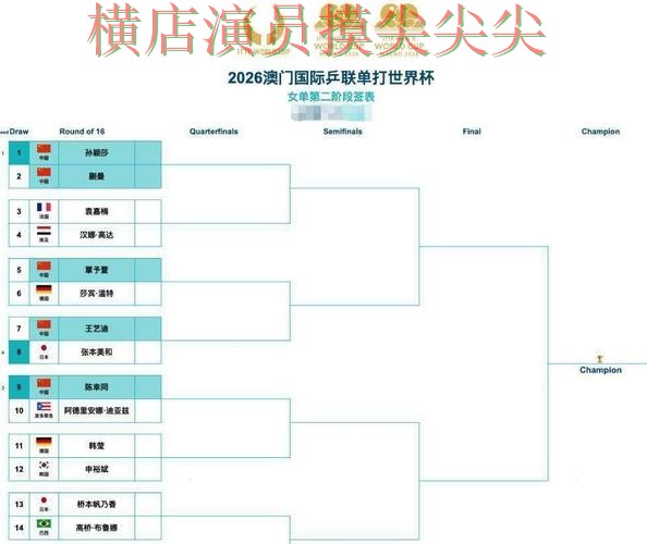 世界杯买球平台整理报告：赛事直播+直播与实际体验总结 - 世界杯官方信息